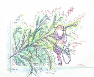 realsurfersHoffman'sbra 001