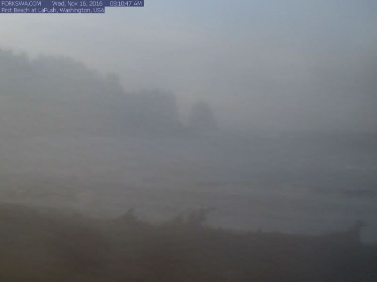 Does that look... um, kinda...hmm